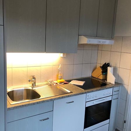 Cozy, Sunny, City Center 1 Bedroom Flat Zúrich Exterior foto