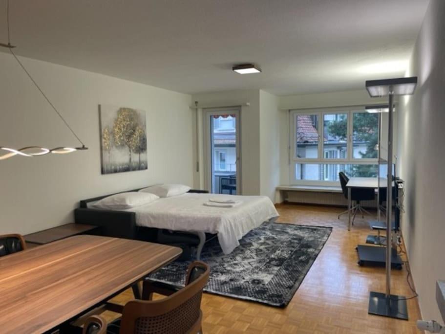Cozy, Sunny, City Center 1 Bedroom Flat Zúrich Exterior foto