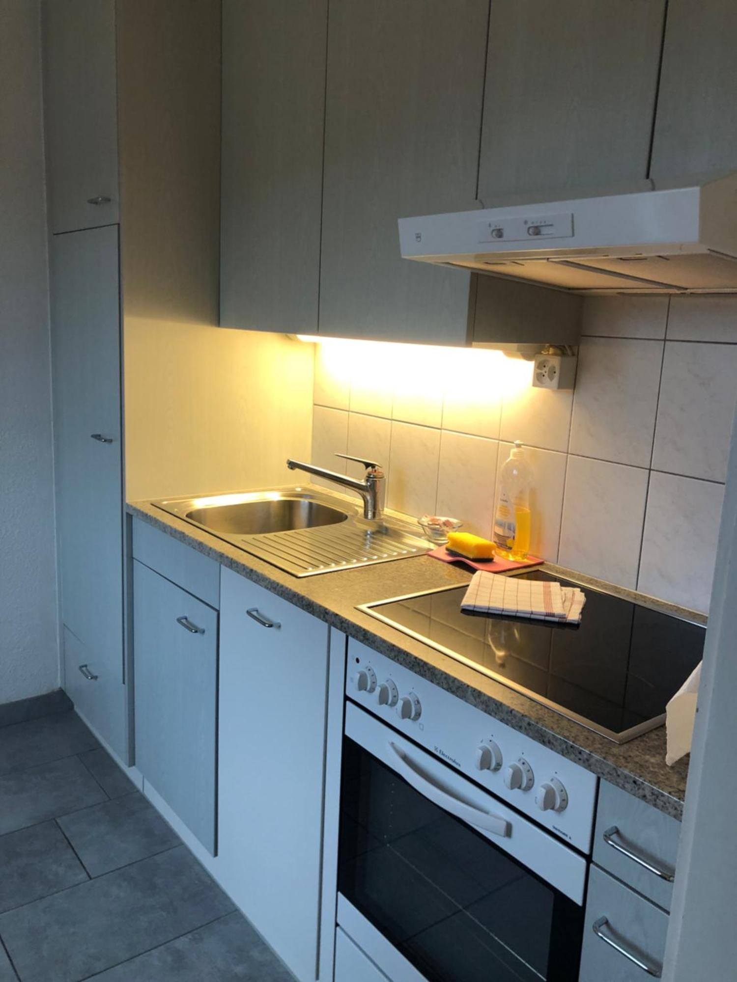 Cozy, Sunny, City Center 1 Bedroom Flat Zúrich Exterior foto